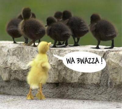 hihihi